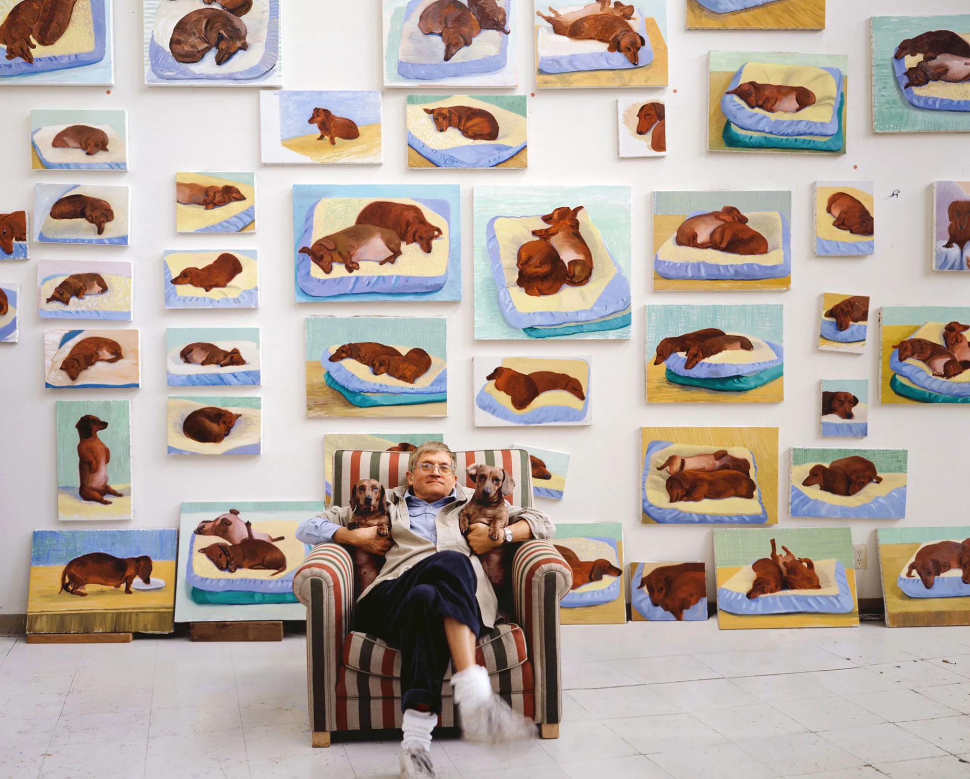 This protograph depicts the artist David Hockney sitting in an armchair with two dachshunds – his dogs Stanley and Boodgie - in front of a wall filled with artwork inspired by the two dogs.