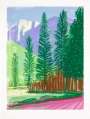 David Hockney: The Yosemite Suite 12 - Signed Print