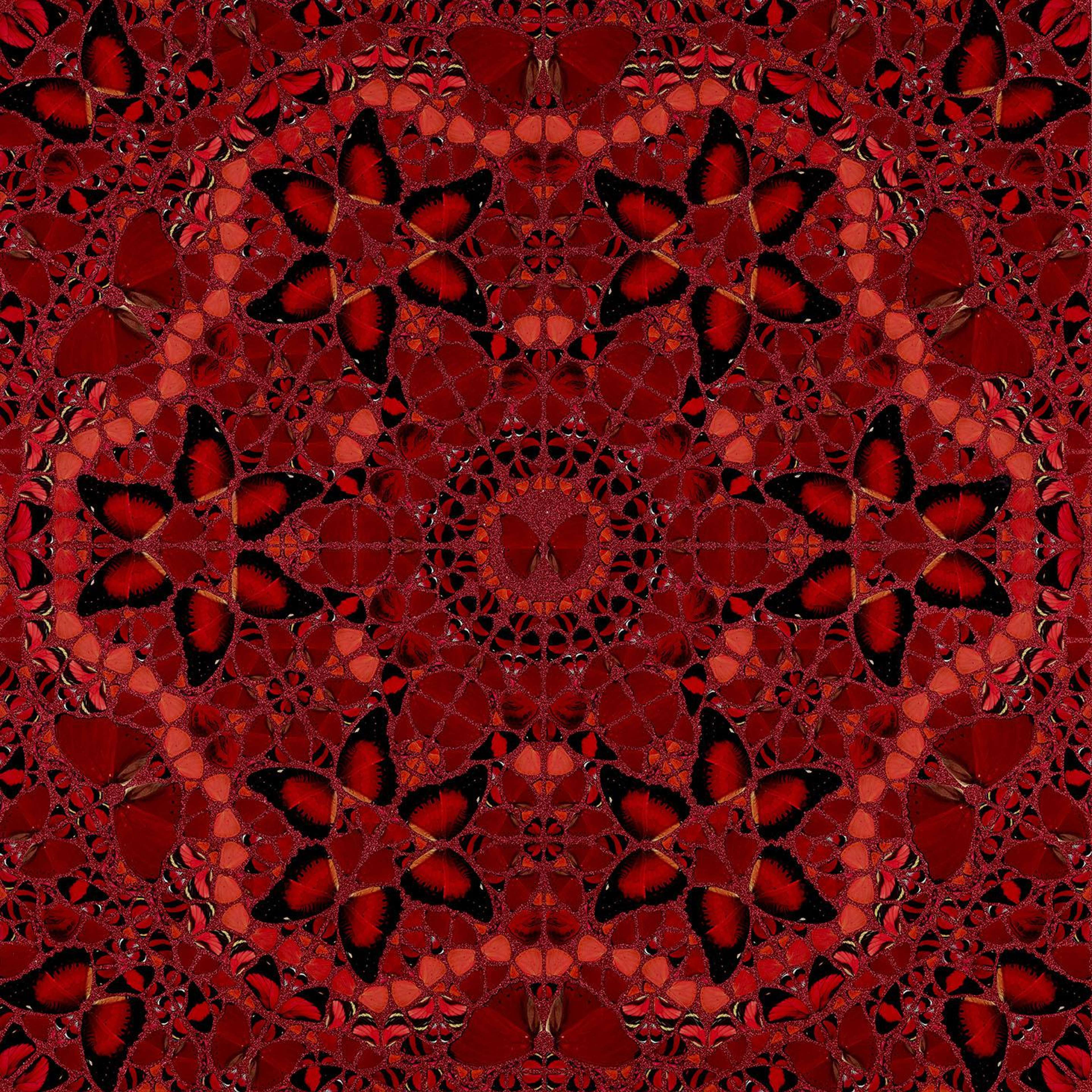 This print shows a captivating pattern composed of butterflies. The composition is dominated by a bold red which is accompanied by other red tones and black detailing. The warm print exudes energy and dynamism and the hexagonal pattern which emanates from the centre of the print seizes the viewer’s attention.