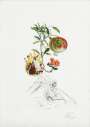 Salvador Dali: Grenade Et L'Ange (Flordali, Les Fruits) - Signed Print