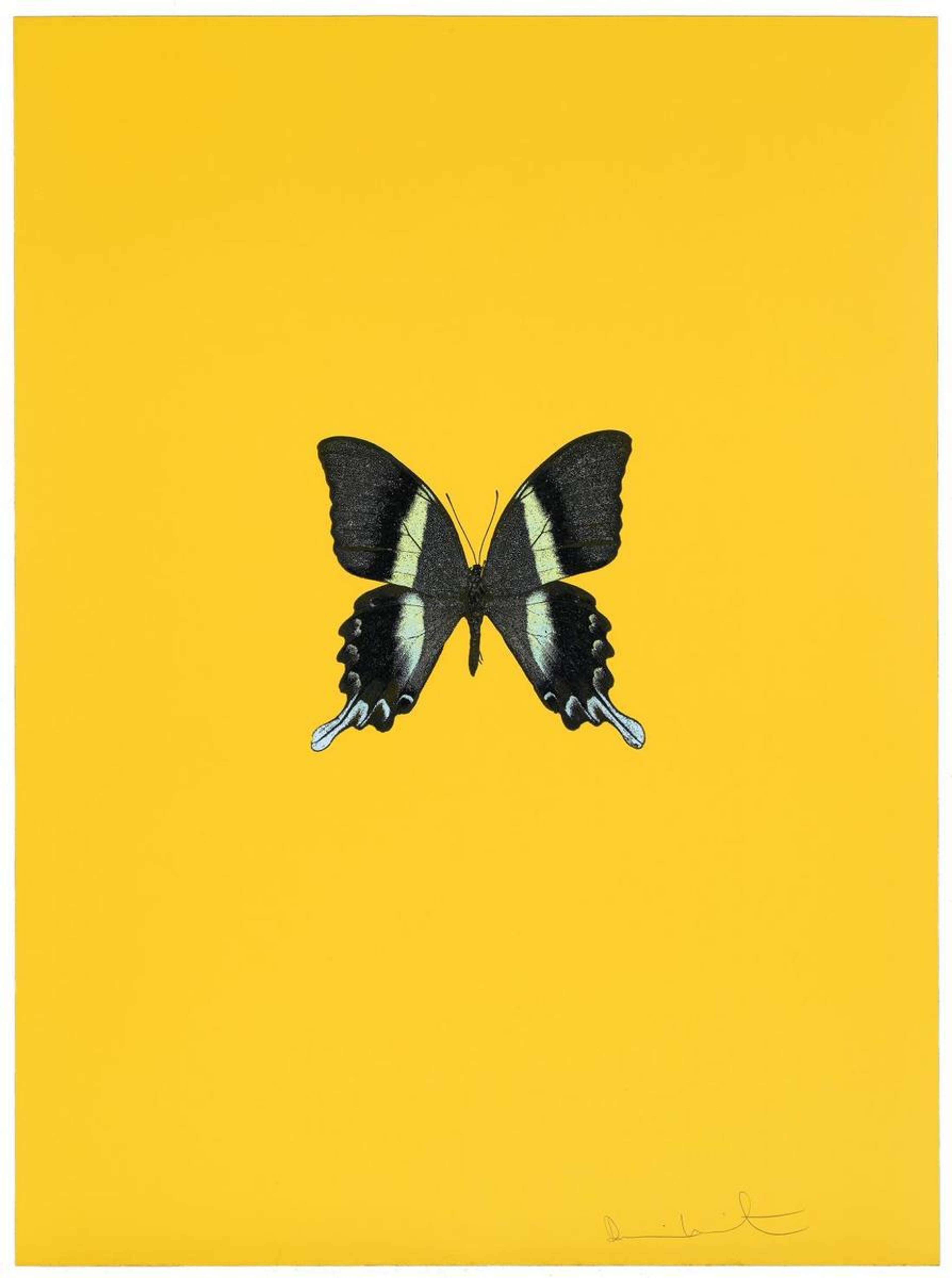 New Beginnings 3 - Signed Print by Damien Hirst 2011 - MyArtBroker