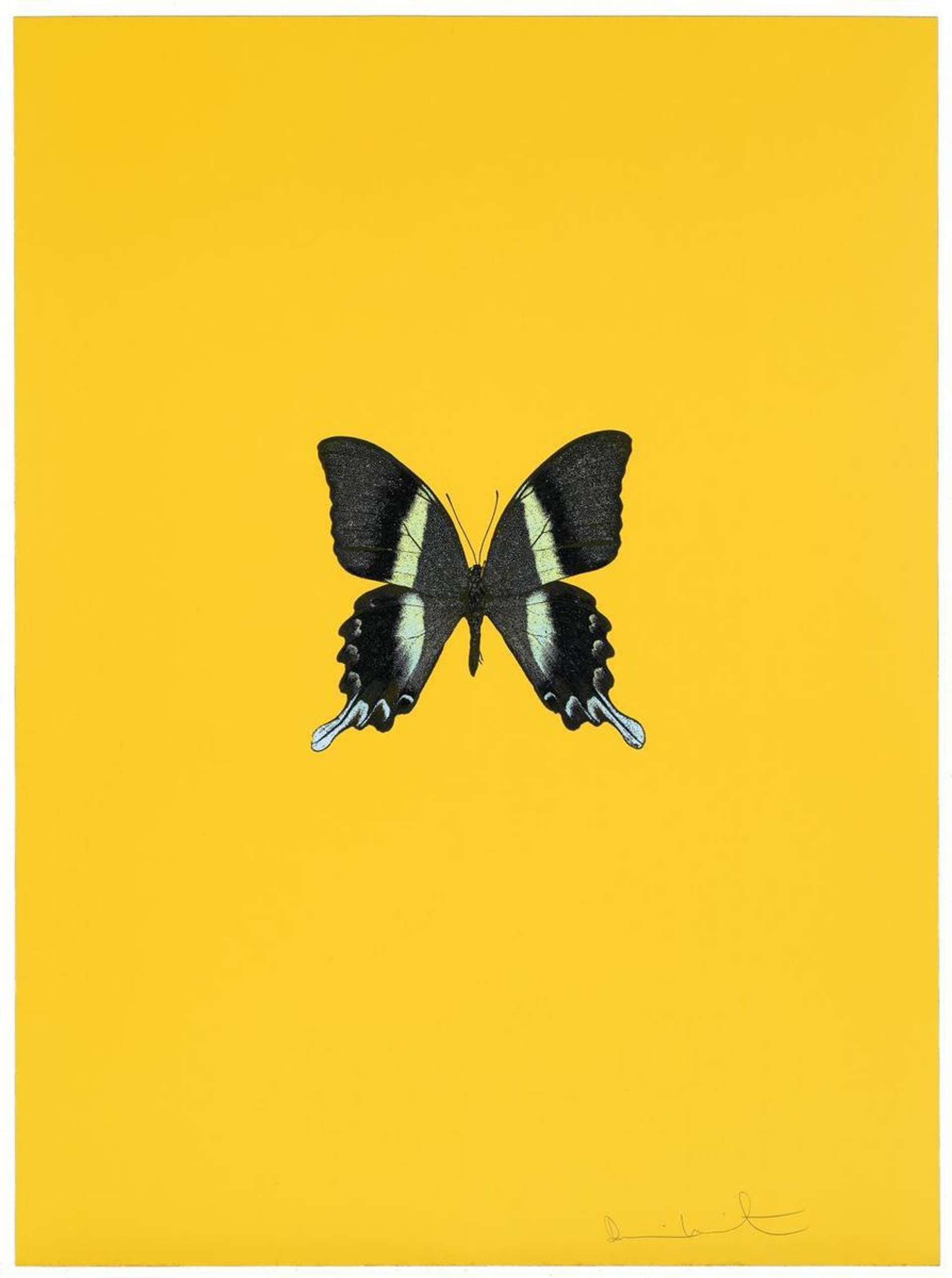 Damien Hirst: New Beginnings 3 - Signed Print