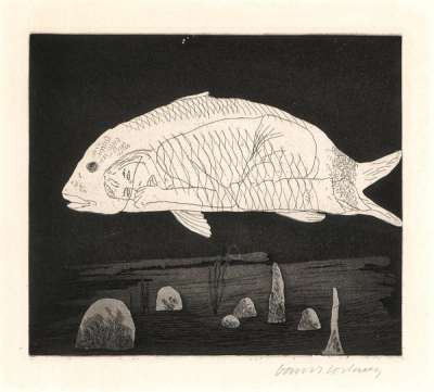 The Boy Hidden In A Fish - Signed Print by David Hockney 1969 - MyArtBroker