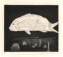 David Hockney: The Boy Hidden In A Fish - Signed Print