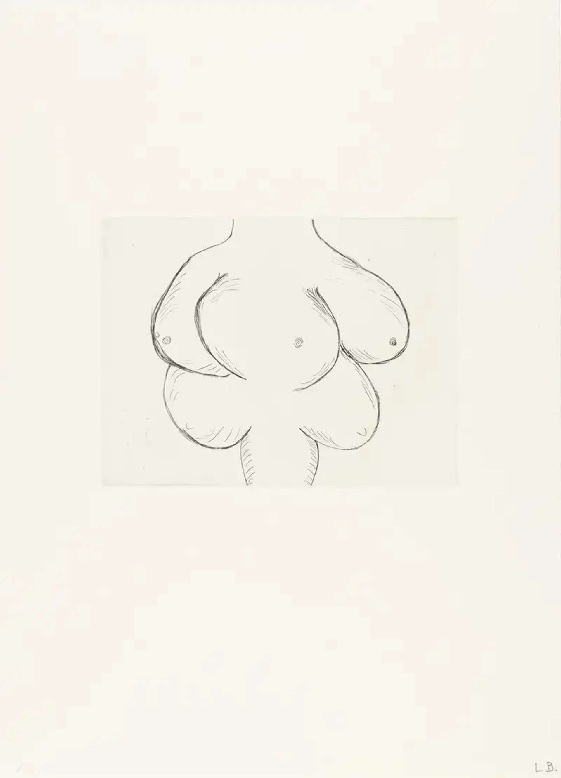 Louise Bourgeois Untitled No. 4. A monochromatic etching of an anatomical depiction of multiple breasts. 