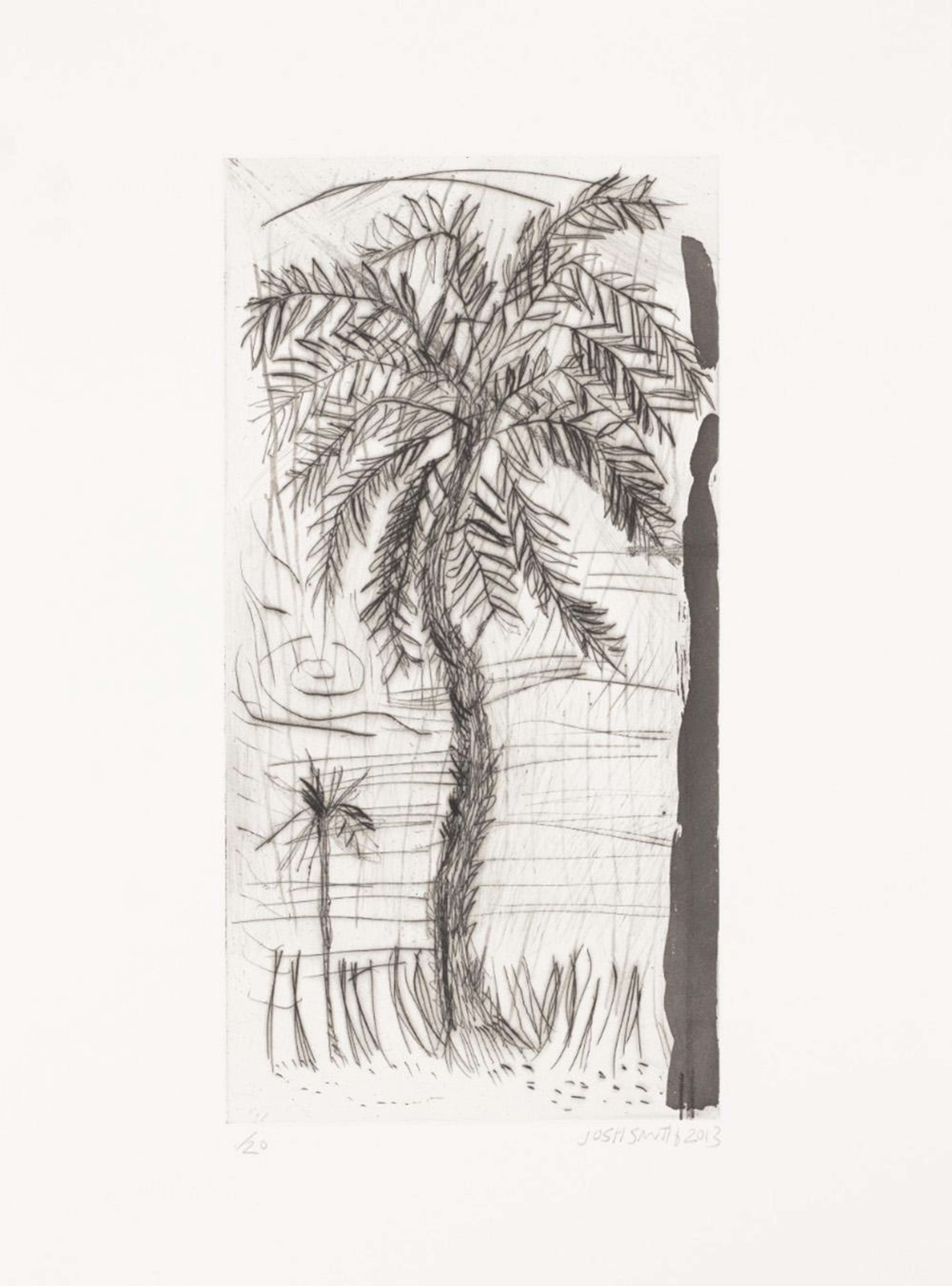 Wild Palms 1 - Signed Print by Josh Smith 2013 - MyArtBroker