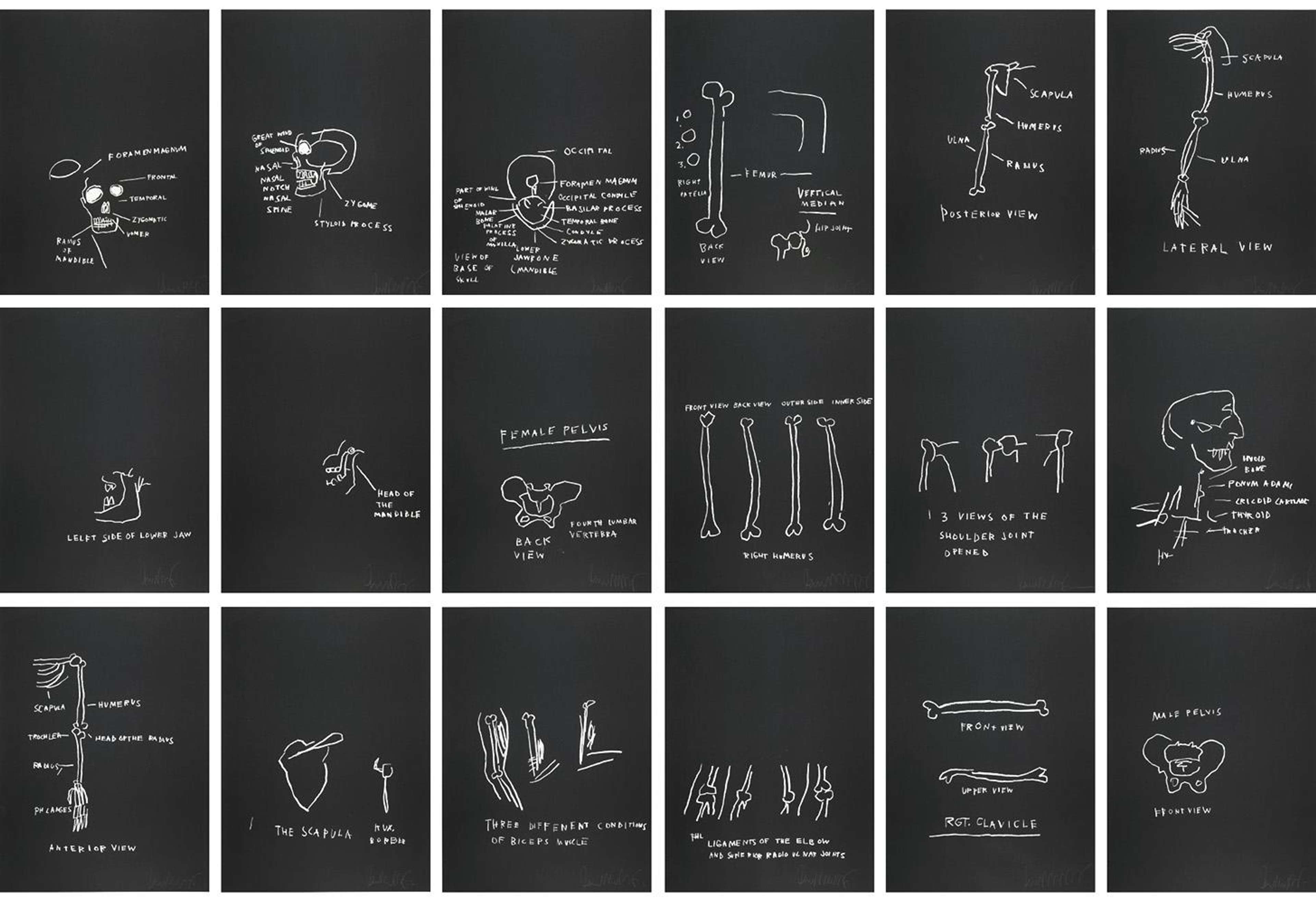 Anatomy (complete set) by Jean-Michel Basquiat - MyArtBroker