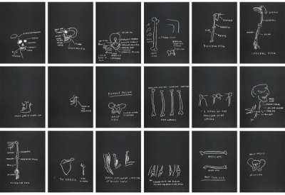 Anatomy (complete set) - Signed Print by Jean-Michel Basquiat 1982 - MyArtBroker