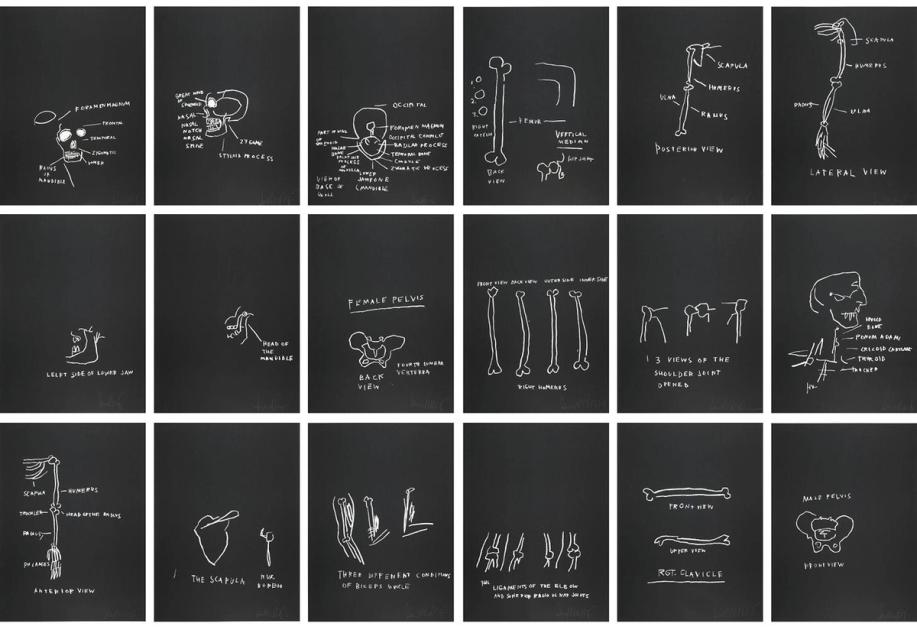Jean-Michel Basquiat Anatomy (complete set) (Signed Print) 1982