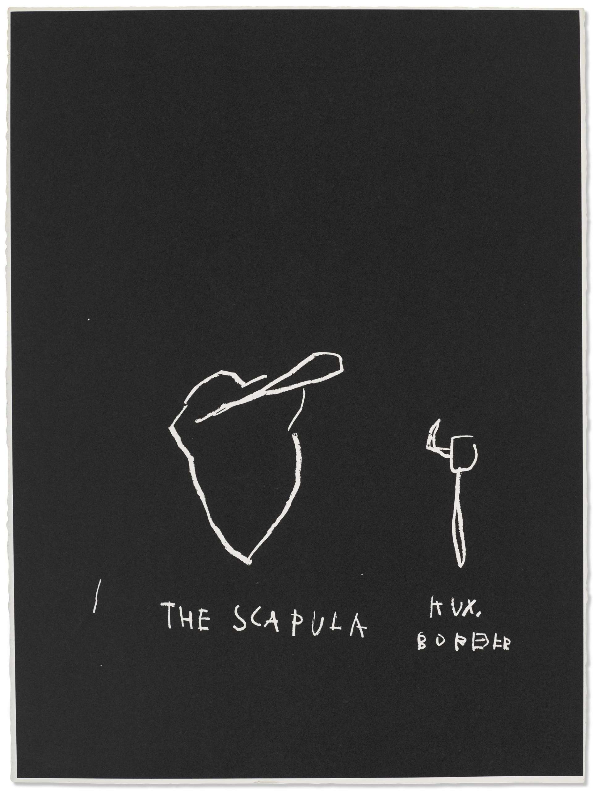 Jean-Michel Basquiat’s Anatomy, The Scapula. A black screenprint featuring white anatomical drawings of a human scapula with descriptive labels.
