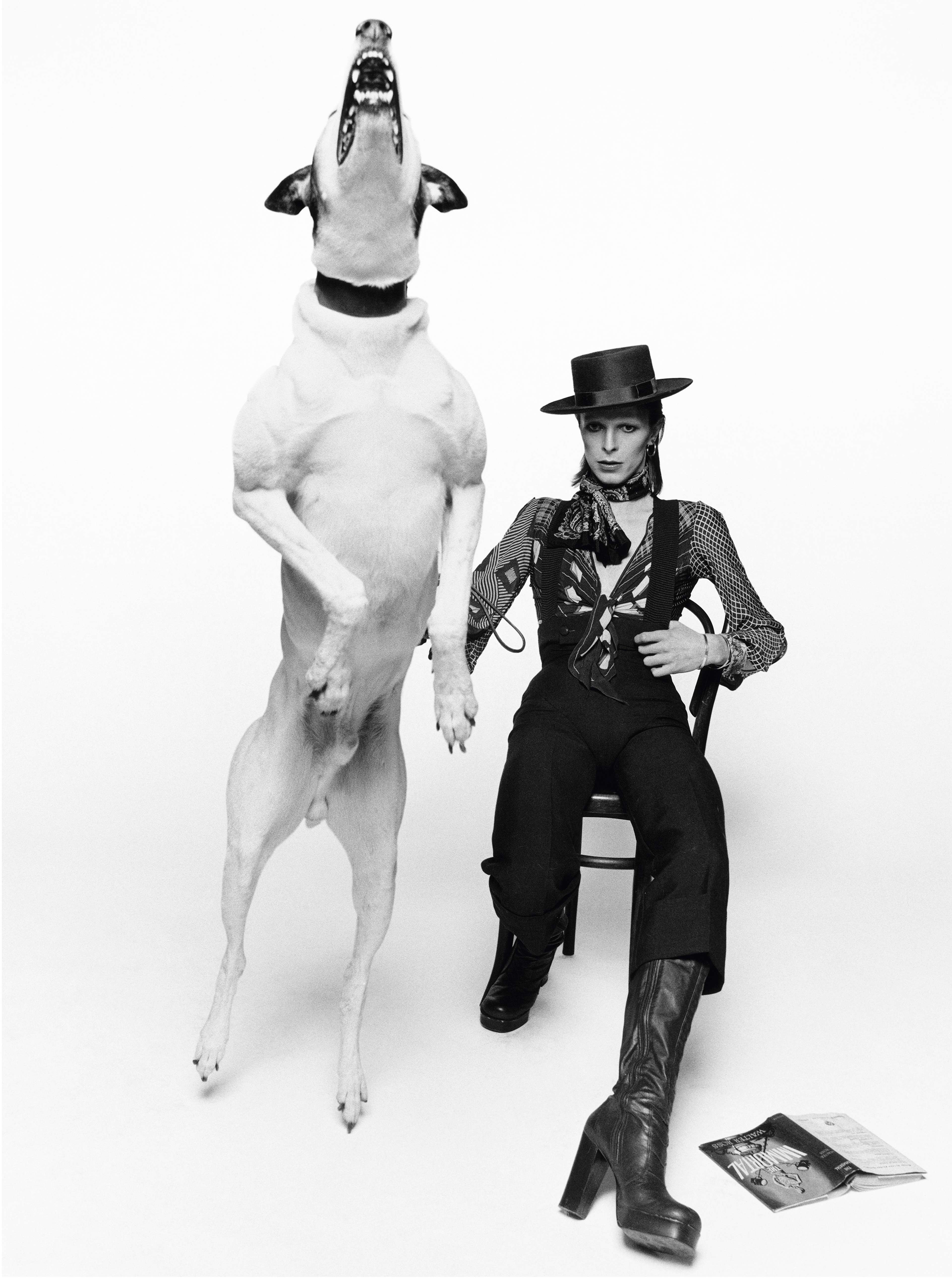 A black and white photograph by Terry O'Neill depicting David Bowie reclining on a wooden chair in flamboyant clothing, and a white dog jumping up in the foreground of the shot.