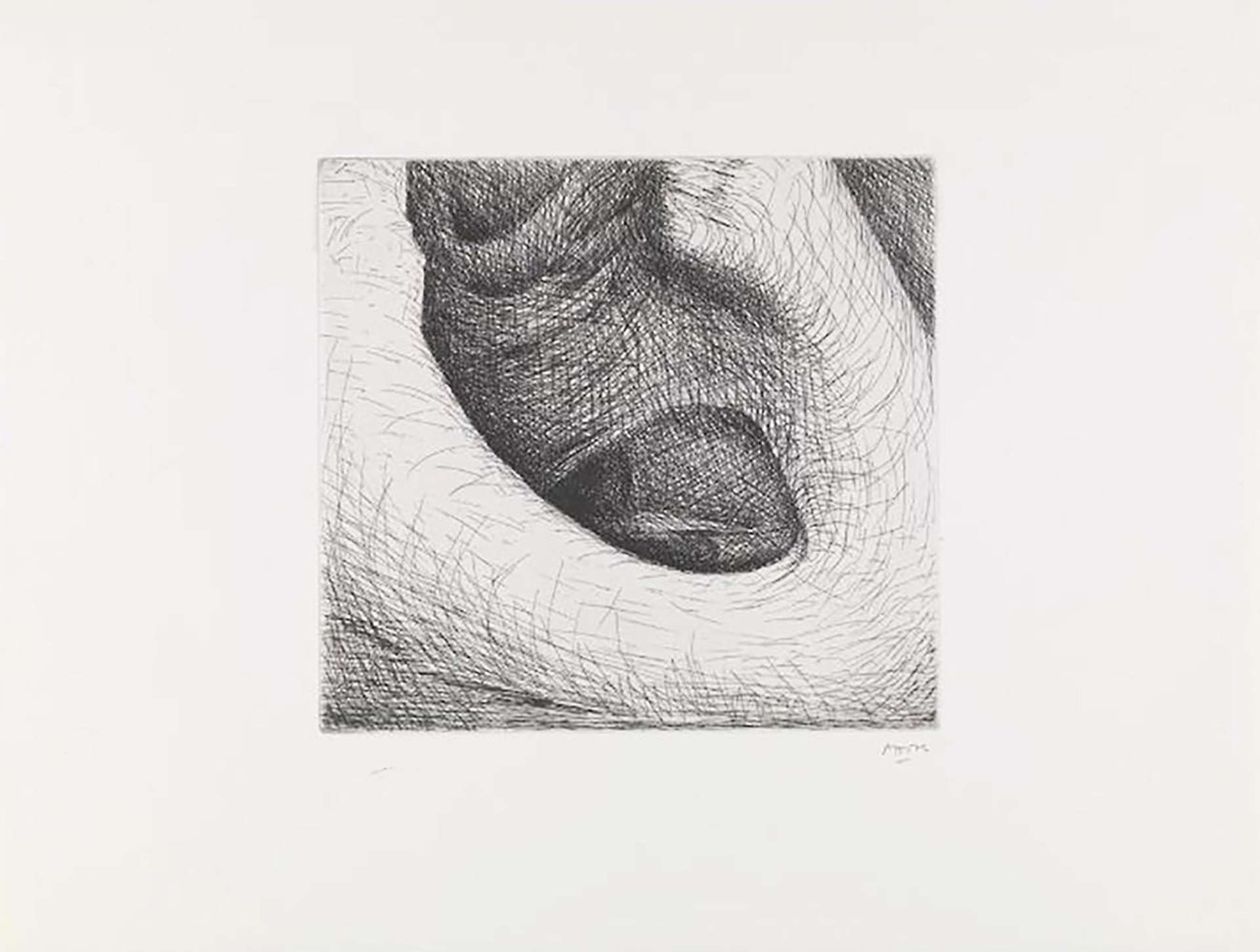 Elephant Skull IV - Signed Print by Henry Moore 1970 - MyArtBroker