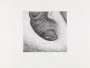 Henry Moore: Elephant Skull IV - Signed Print