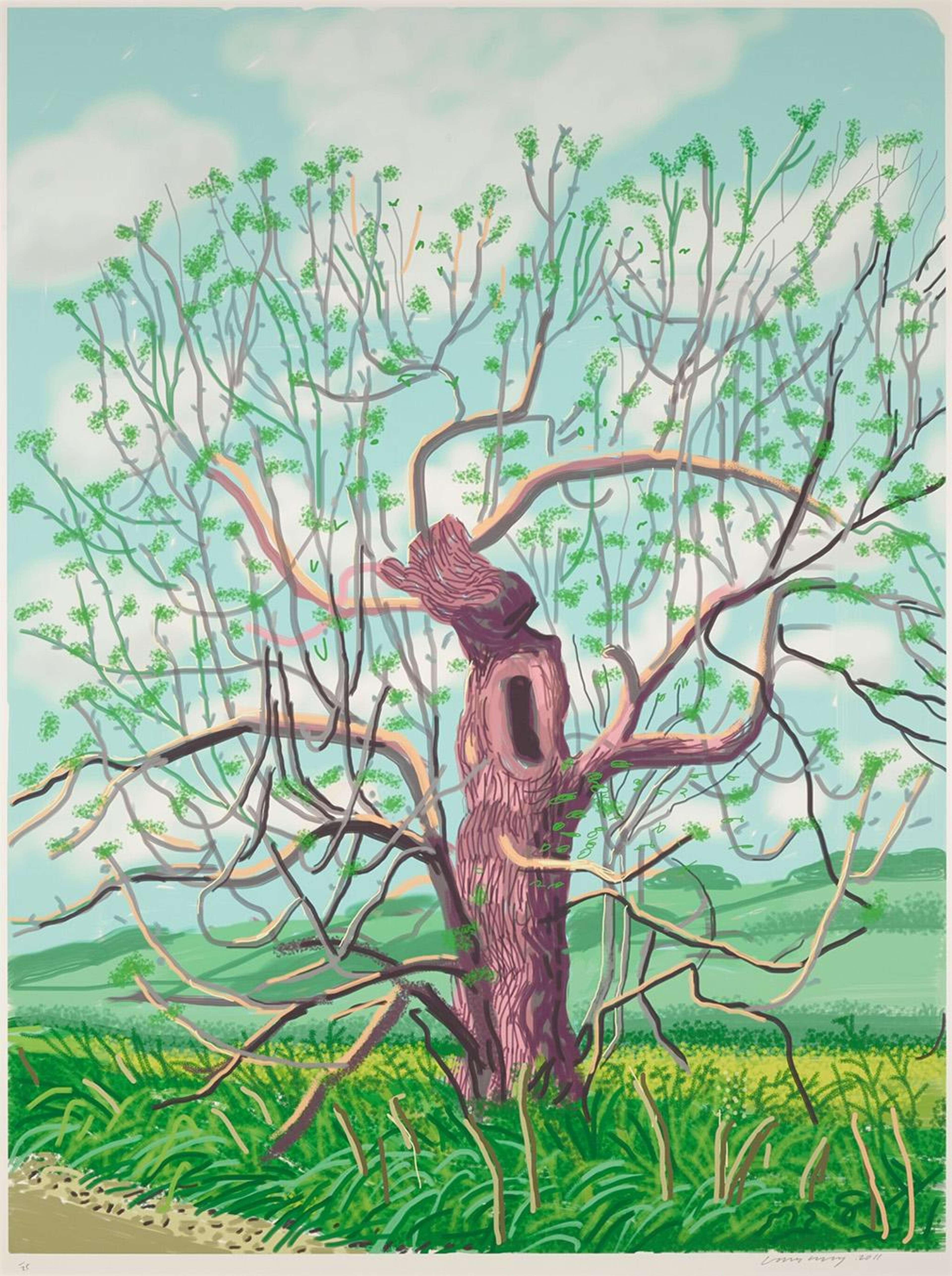 The Arrival Of Spring In Woldgate, East Yorkshire In 2011 (twenty eleven) - 18 May - Signed Print by David Hockney 2011 - MyArtBroker