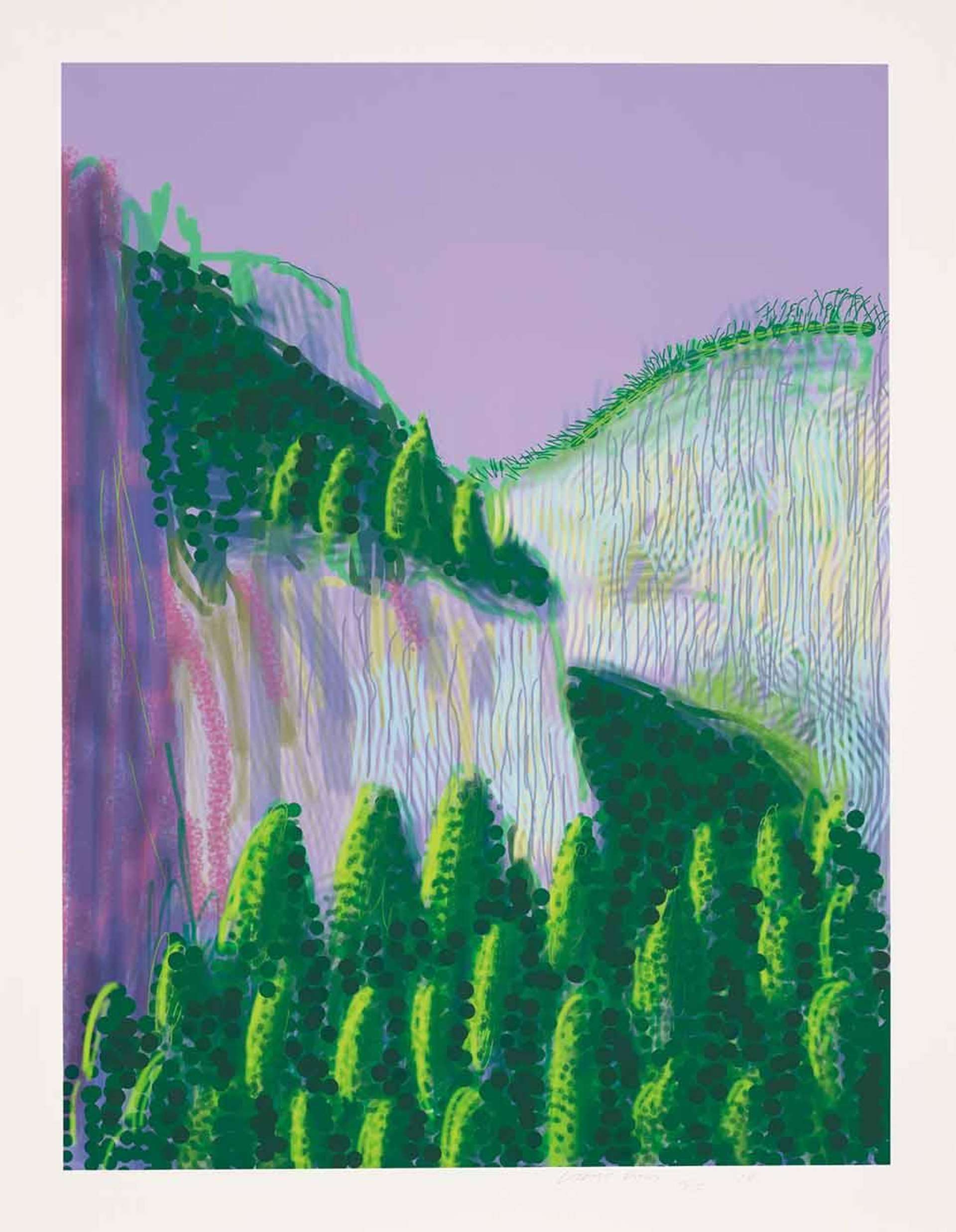 David Hockney’s The Yosemite Suite 11. A digital print of a landscape view of California's Yosemite National Park. A forest of dark green pine trees against a soft purple sky. 