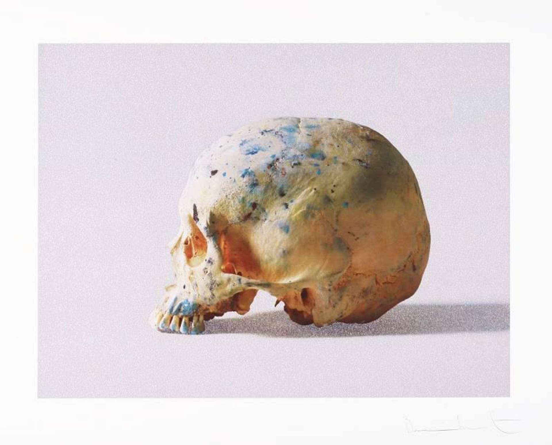 The work shows the profile of a skull, facing the viewer’s left. The skull is photographed in the centre of the composition against a white backdrop, making it the focal point of the image. The skull is splattered with blue and green paint.