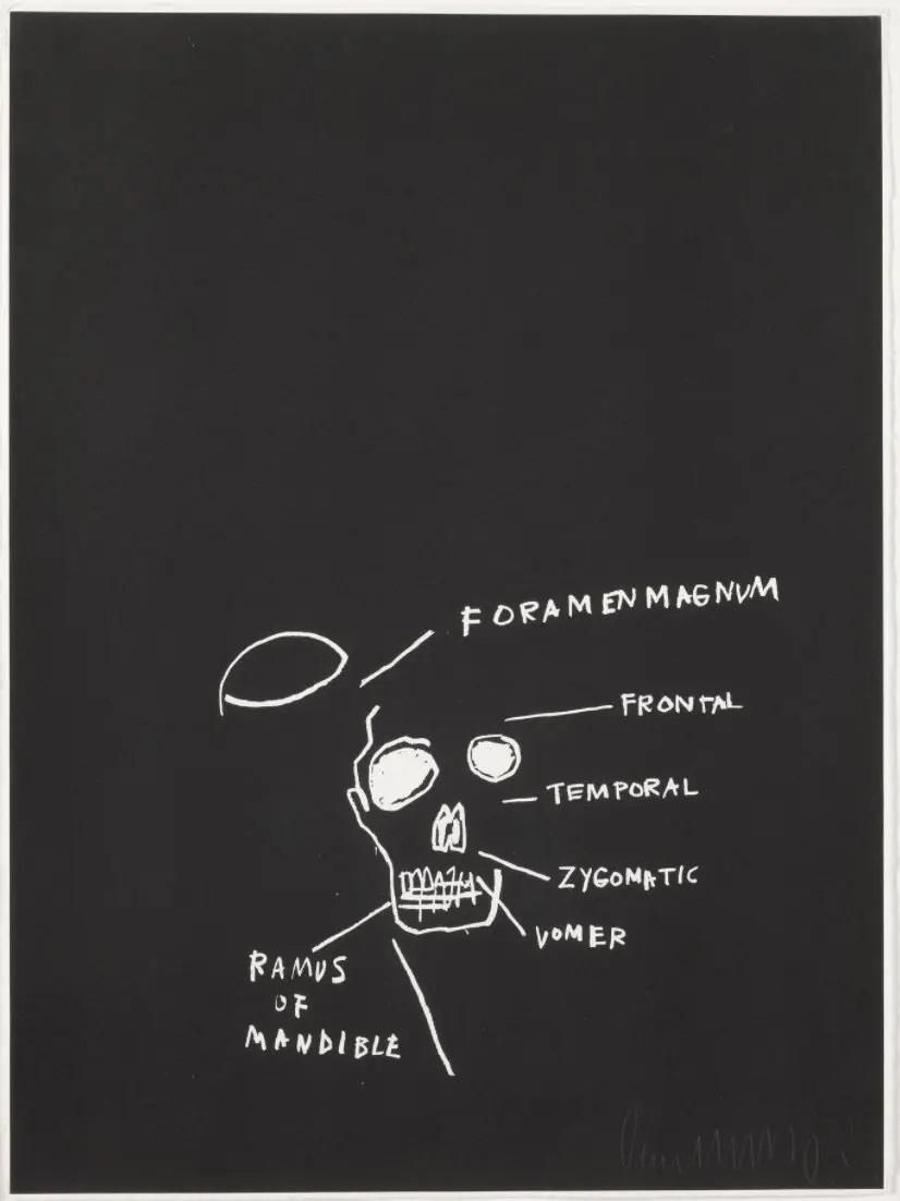 Jean-Michel Basquiat Anatomy, Ramus Of Mandible (Signed
