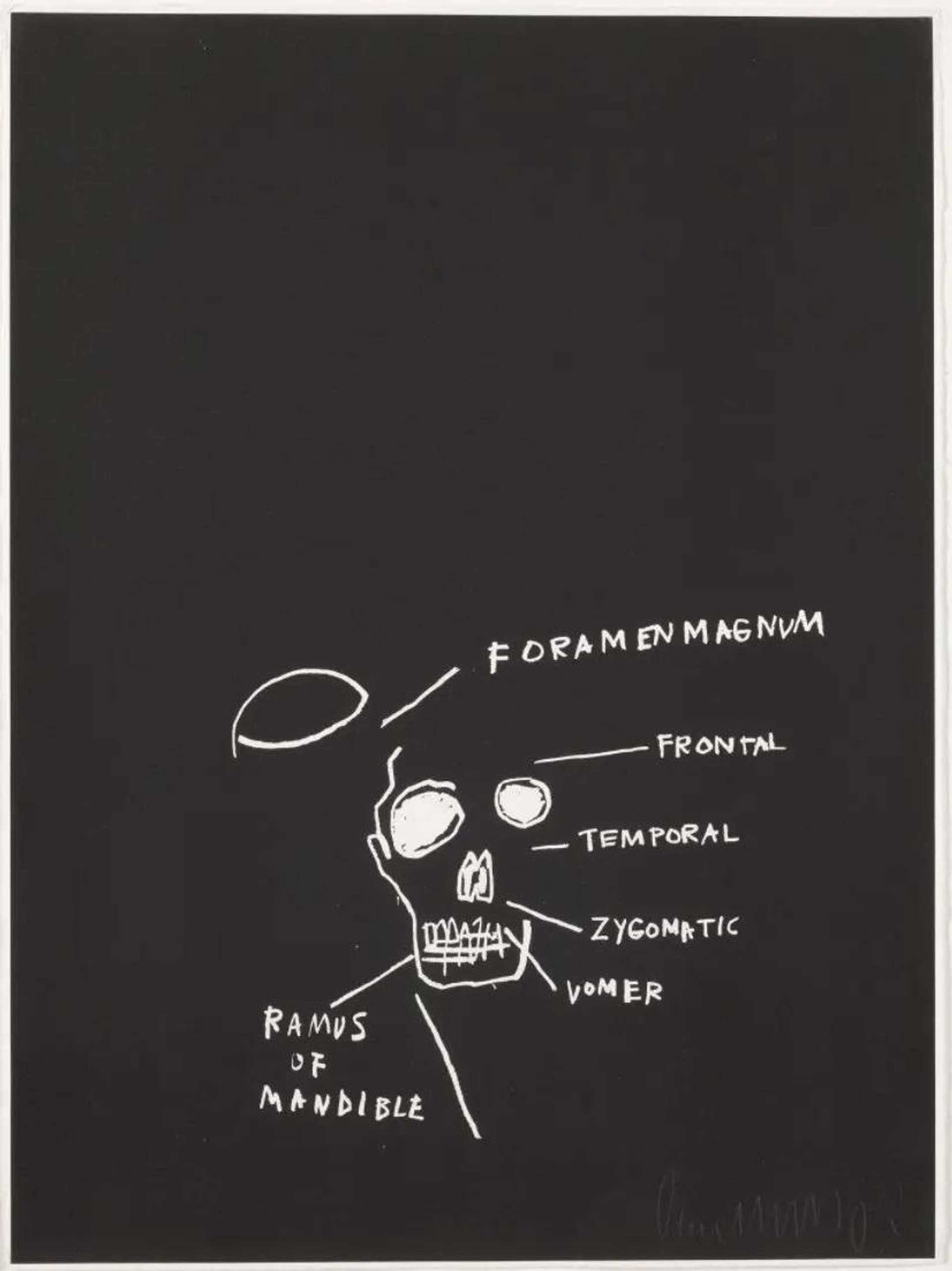 Anatomy, Ramus Of Mandible - Signed Print by Jean-Michel Basquiat 1982 - MyArtBroker