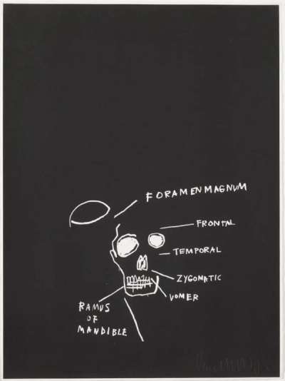 Anatomy, Ramus Of Mandible - Signed Print by Jean-Michel Basquiat 1982 - MyArtBroker