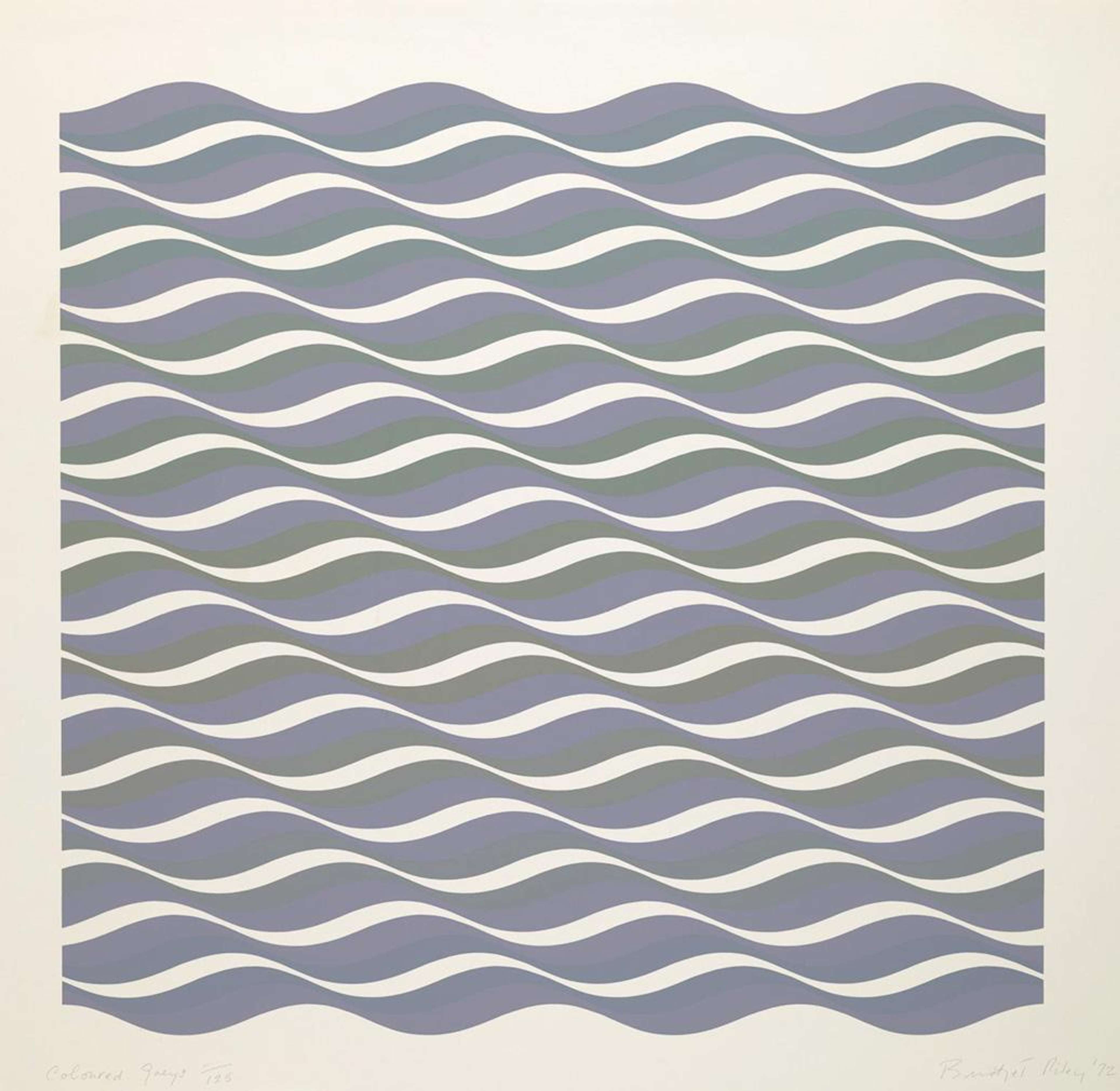 Coloured Greys 3 - Signed Print by Bridget Riley 1972 - MyArtBroker