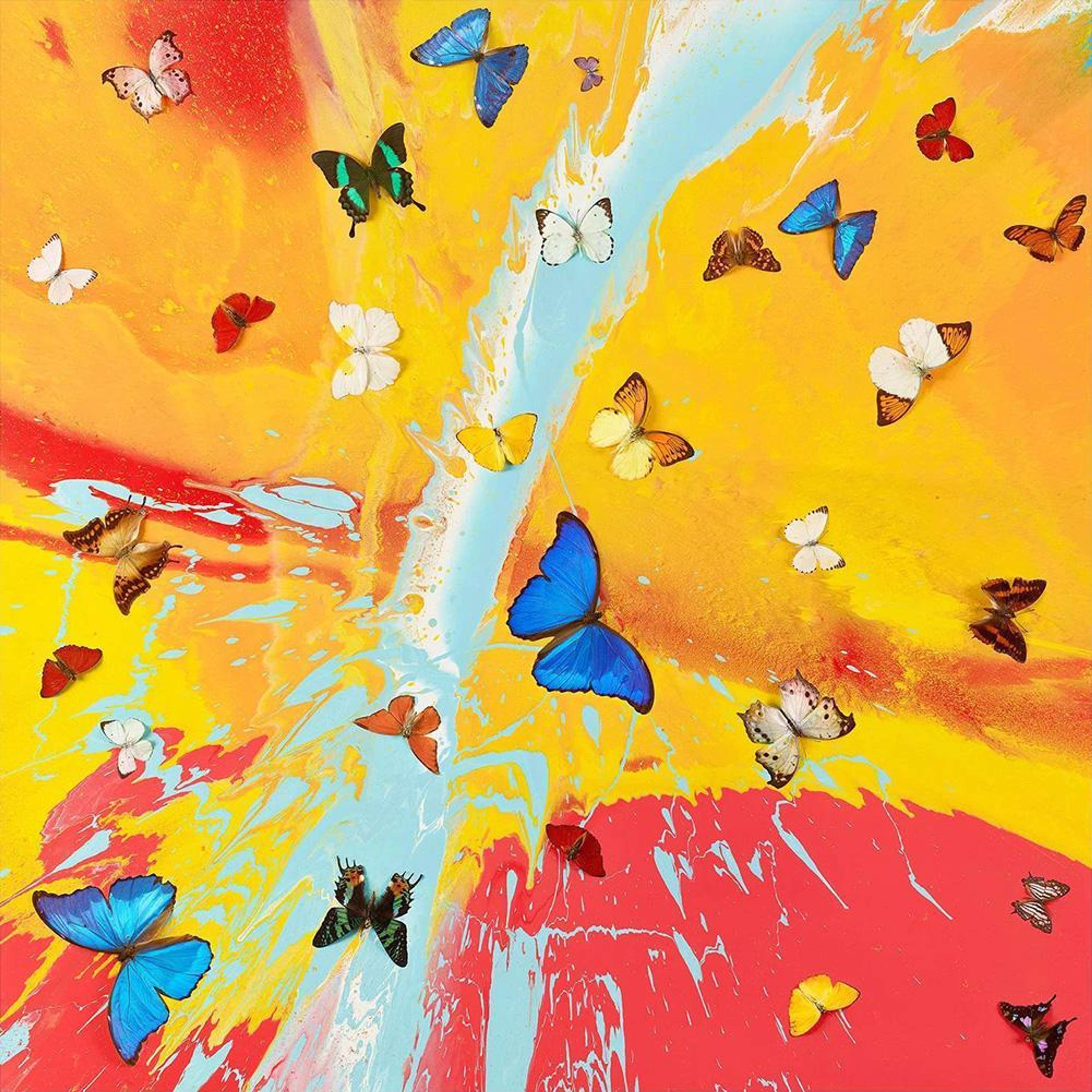 H19-1 Aurora Dawn - Signed Print by Damien Hirst 2025 - MyArtBroker