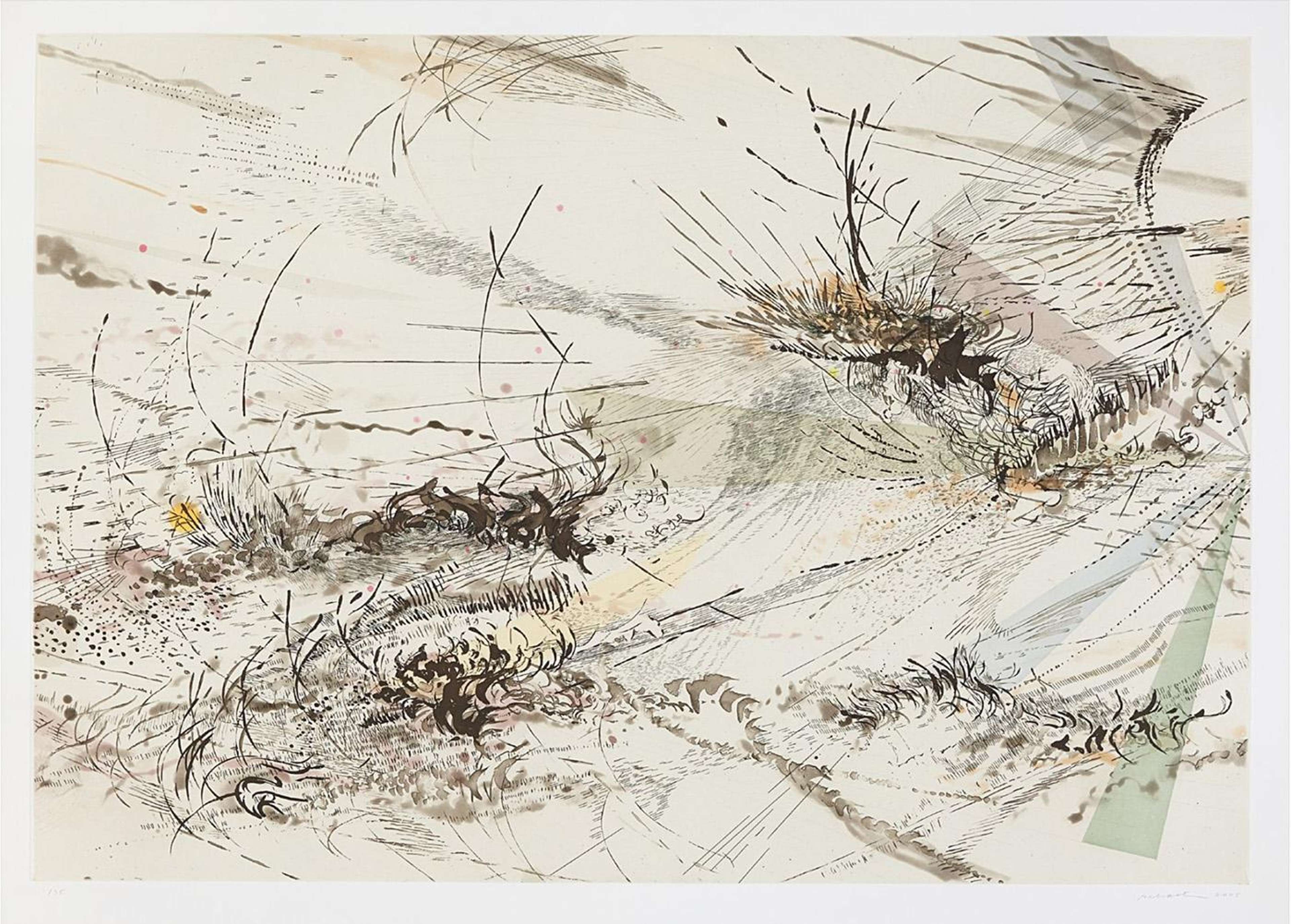 Diffraction - Signed Print by Julie Mehretu 2005 - MyArtBroker