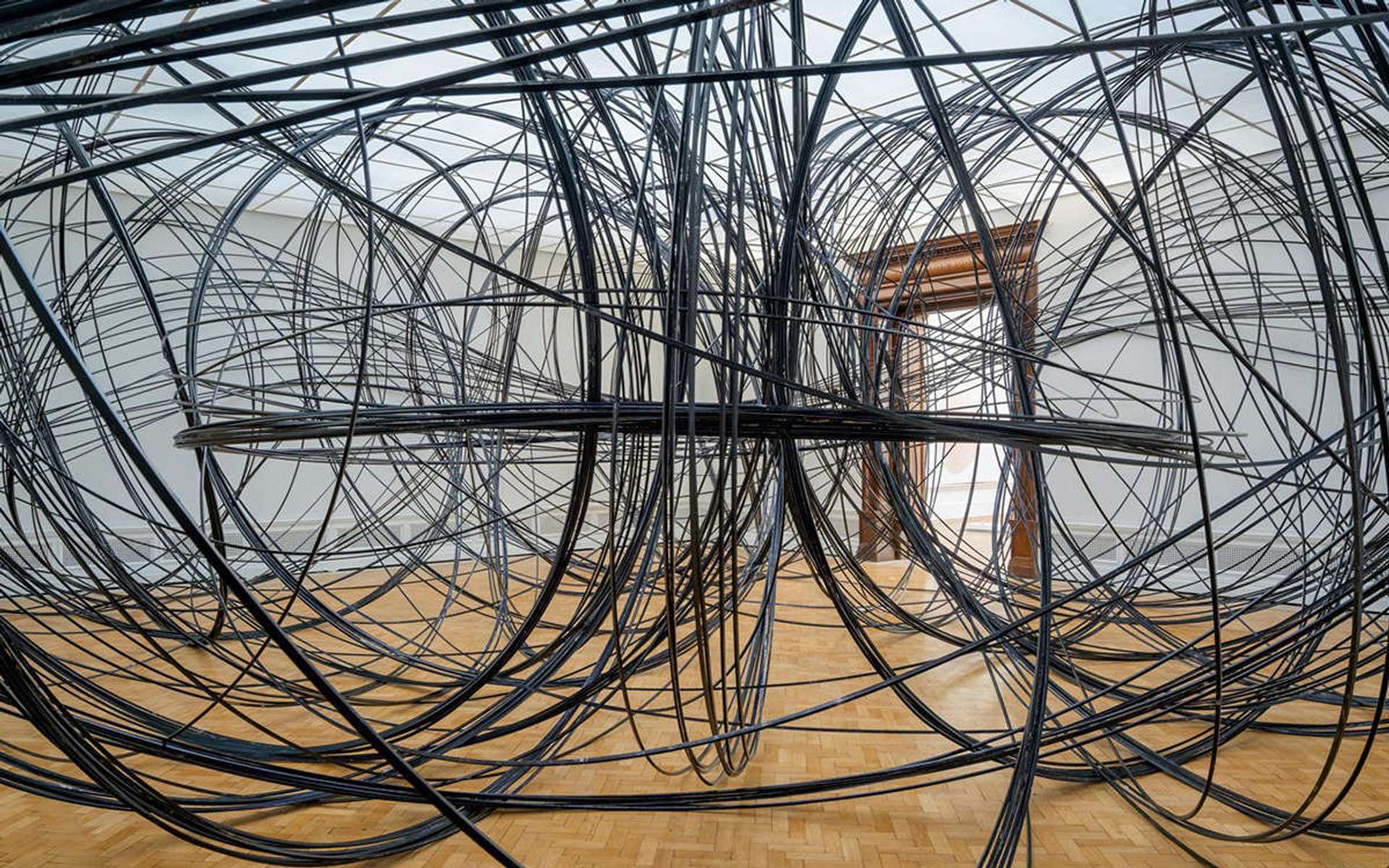An image of Antony Gormley's installation Clearing VII: A complex arrangement of intertwined metal loops forming a spacious web-like structure that can be traversed by people.