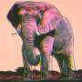Andy Warhol: African Elephant (F. & S. II.293) - Signed Print