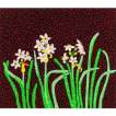 Flowers, Kusama 84 - Signed Print