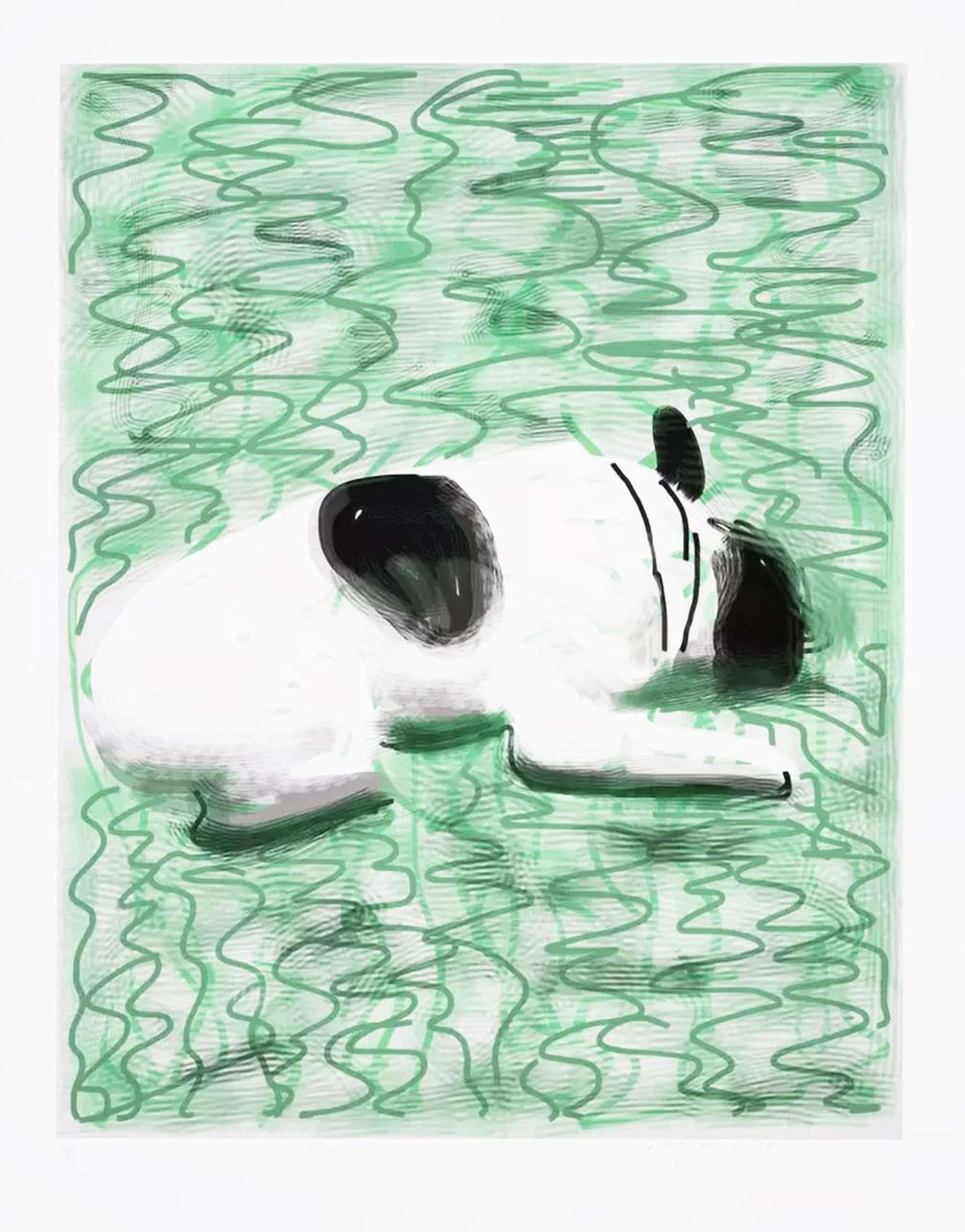 Moujik - Signed Print by David Hockney 2010 - MyArtBroker