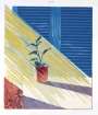 David Hockney: Sun State I - Signed Print