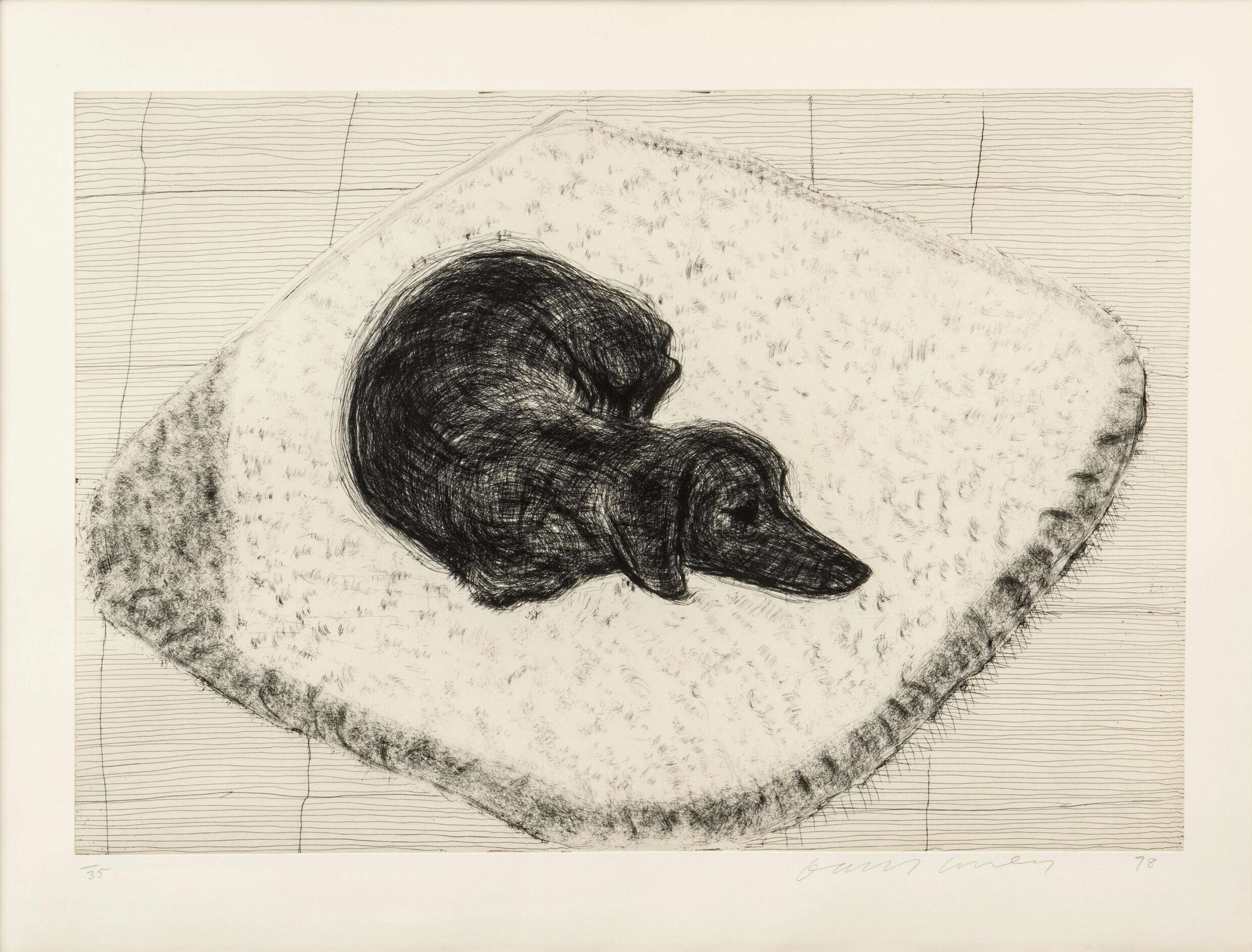 Dog Etching No. 12 - Signed Print by David Hockney 1998 - MyArtBroker