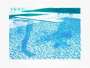 David Hockney: Lithograph Of Water Made Of Thick And Thin Lines And Two Light Blue Washes - Signed Print