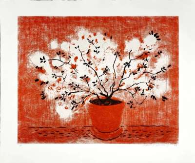Red Wire Plant - Signed Print by David Hockney 1998 - MyArtBroker