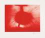 Anish Kapoor: Untitled (2014) - Signed Print