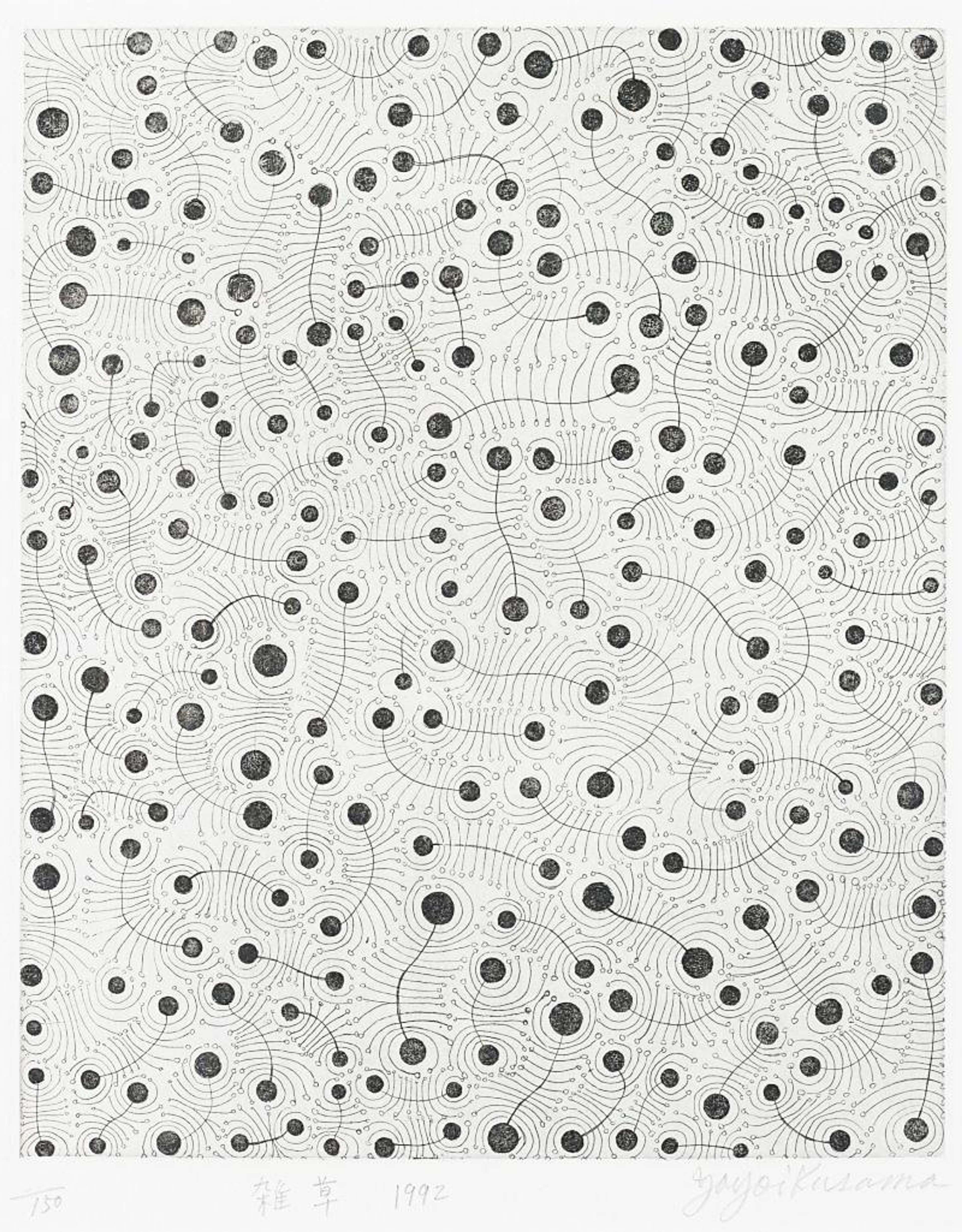 Weeds - Signed Print by Yayoi Kusama 1992 - MyArtBroker