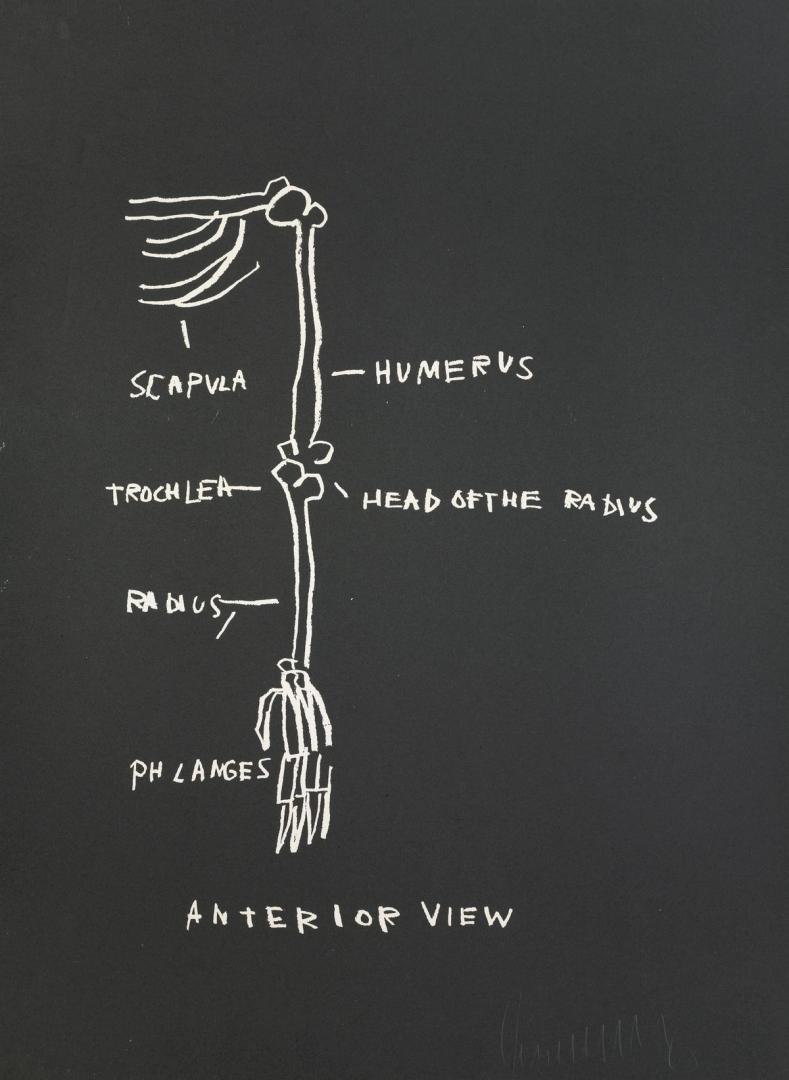 Anatomy, Anterior View Screenprint 1982 by Jean-Michel Basquiat ...
