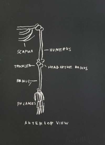 Jean-Michel Basquiat: Anatomy, Anterior View - Signed Print