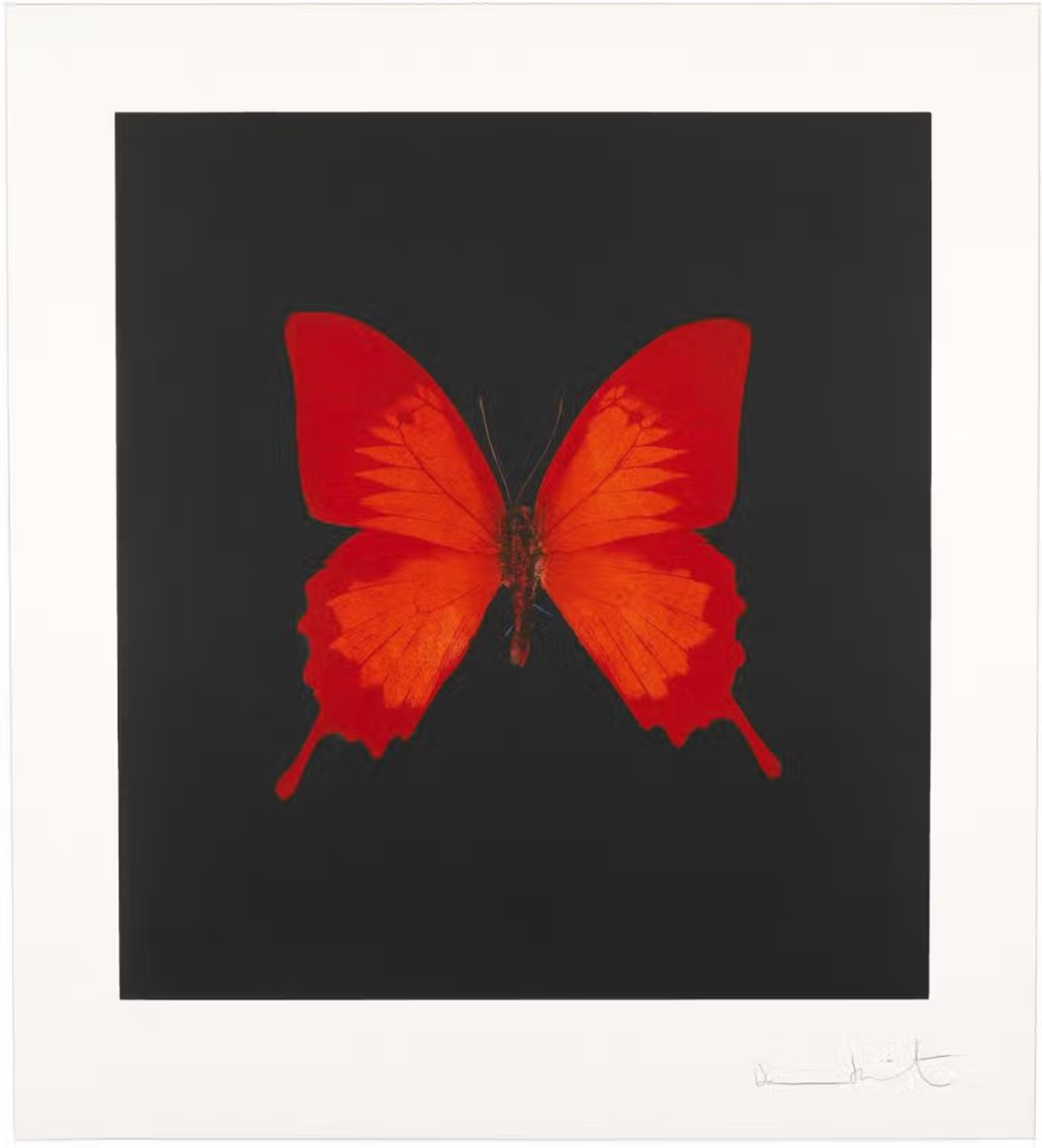 Damien Hirst