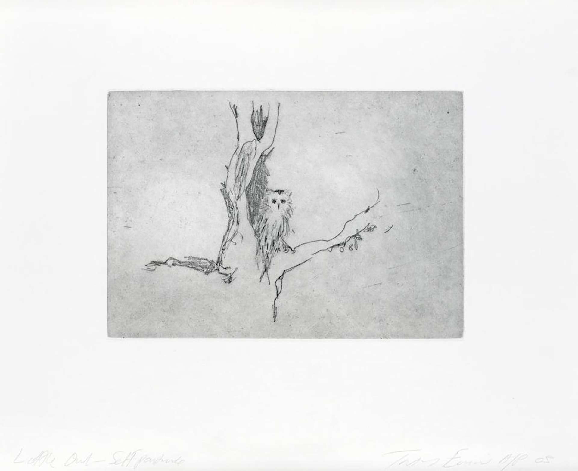 Tracey Emin: Little Owl - Signed Print