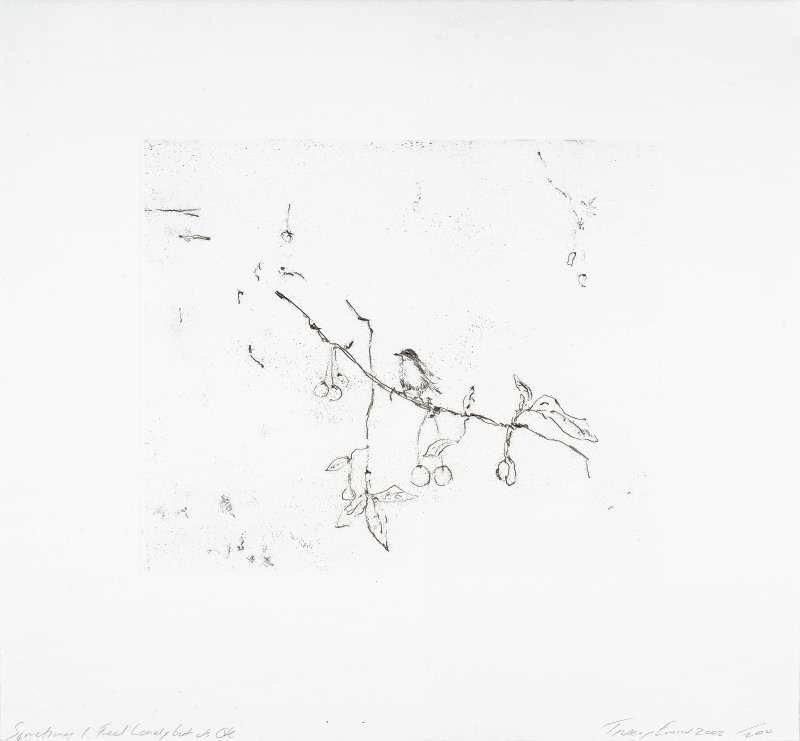 アート・デザイン・音楽 TRACEY EMIN アート・デザイン・音楽 TRACEY EMIN An Emotional Journey Through