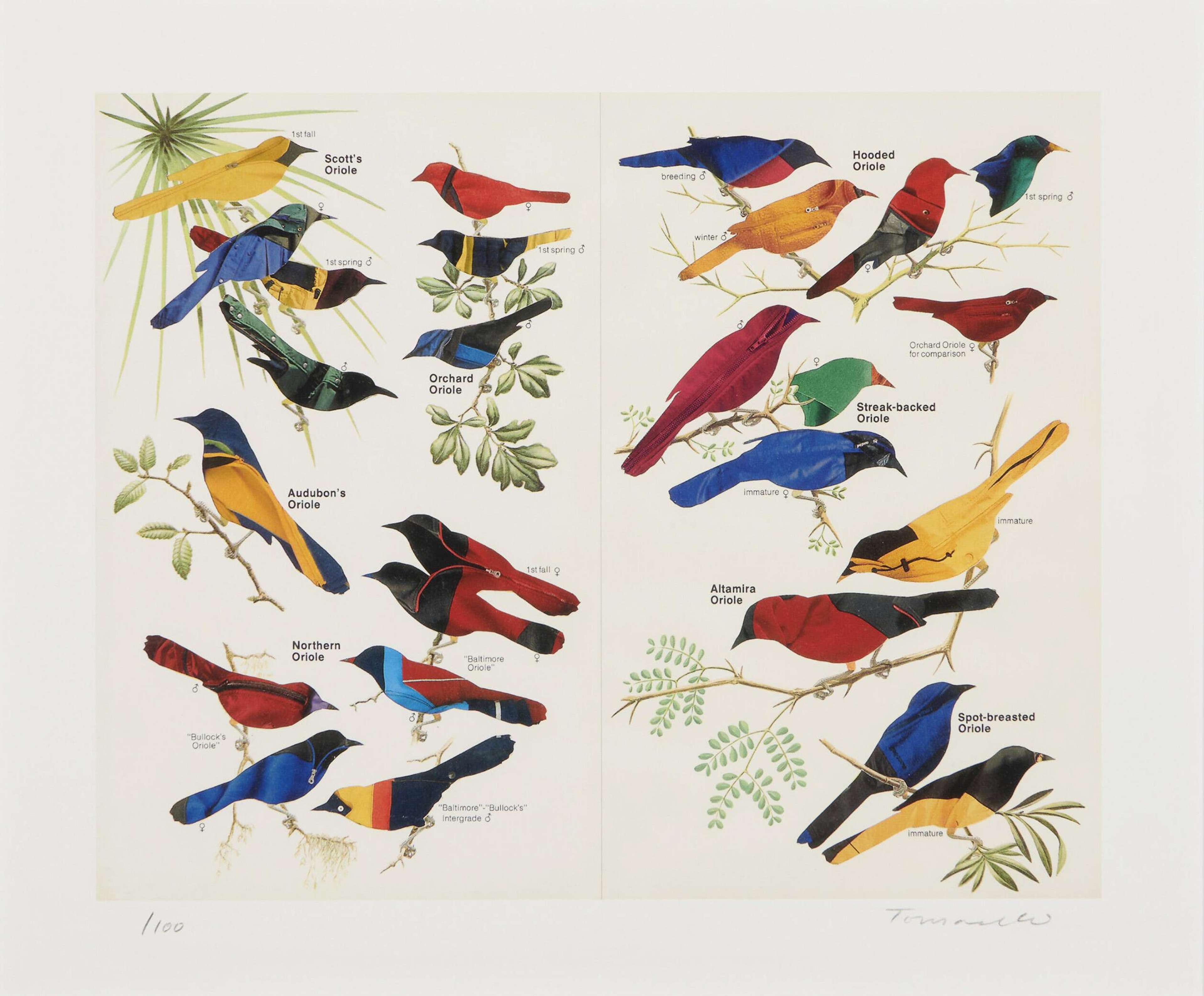 Double Page Orioles - Signed Print by Fred Tomaselli 2004 - MyArtBroker