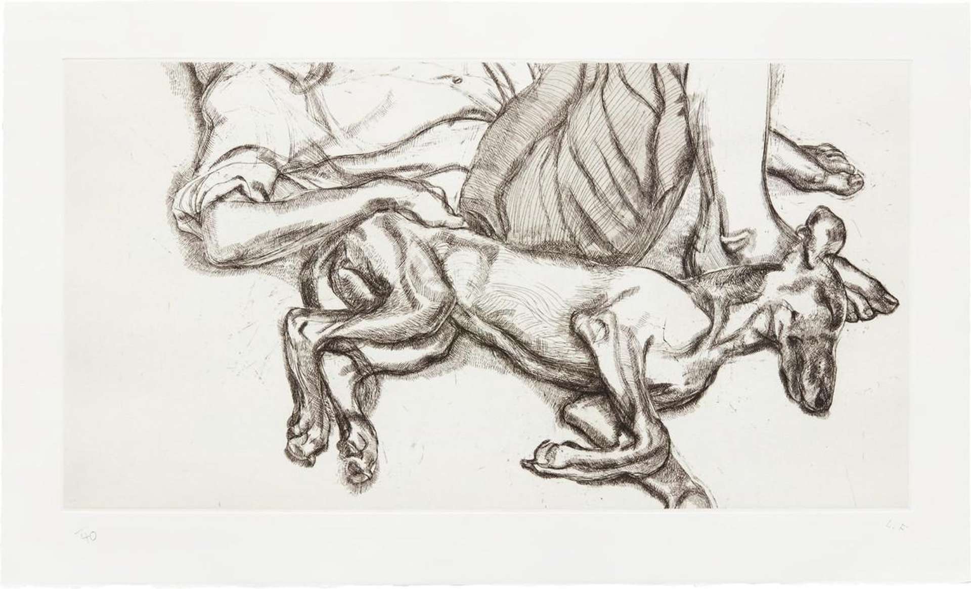 Lucian Freud: Pluto - Signed Print