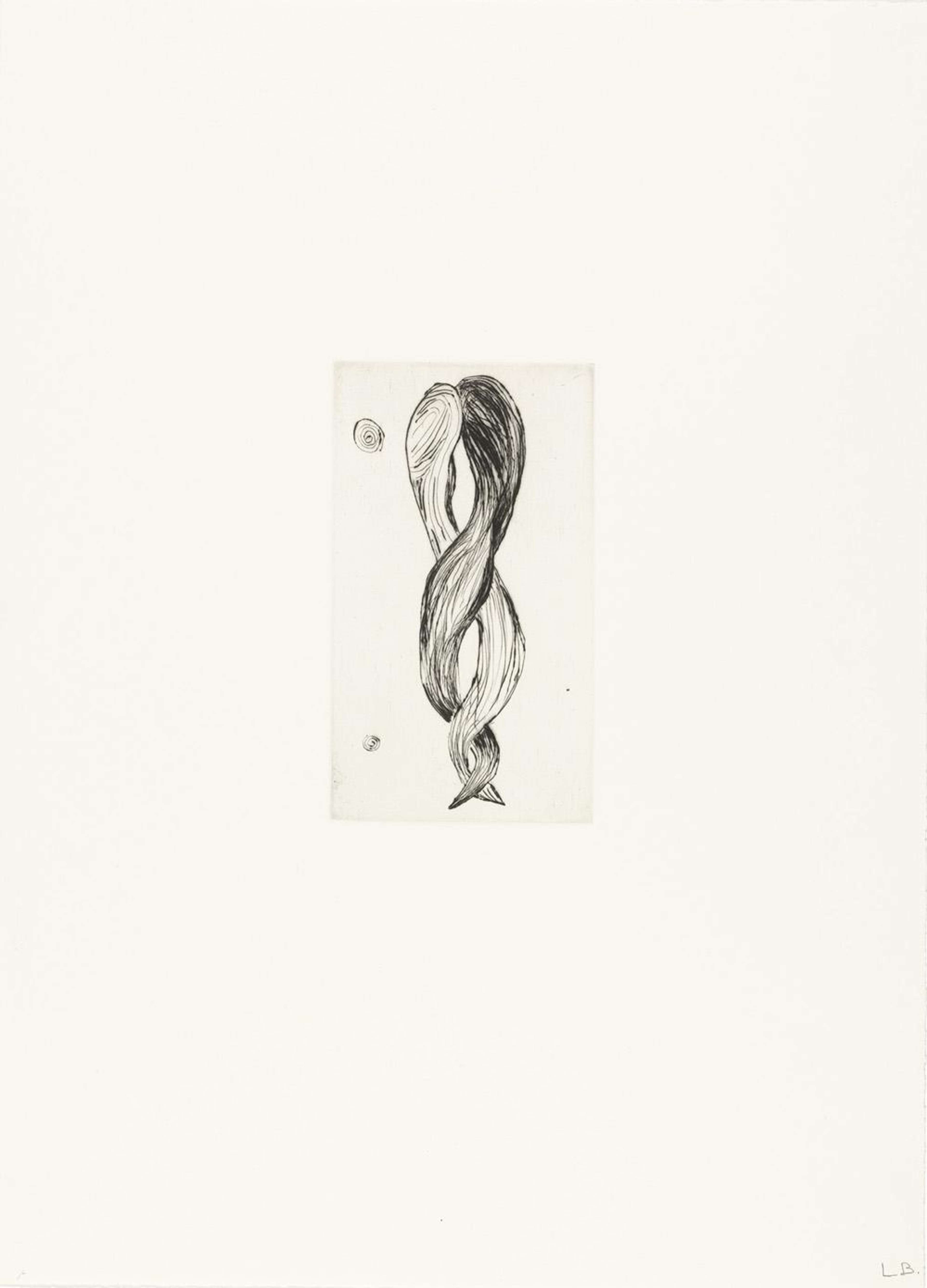 Louise Bourgeois Untitled No. 3. A monochromatic etching of an anatomical depiction of braided hair. 