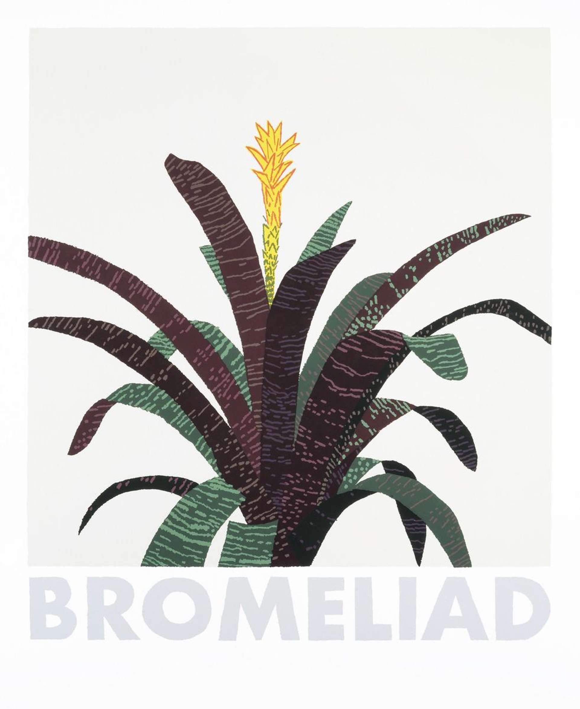 Jonas Wood: Bromeliad - Signed Print