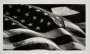Robert Longo: American Flag - Signed Print