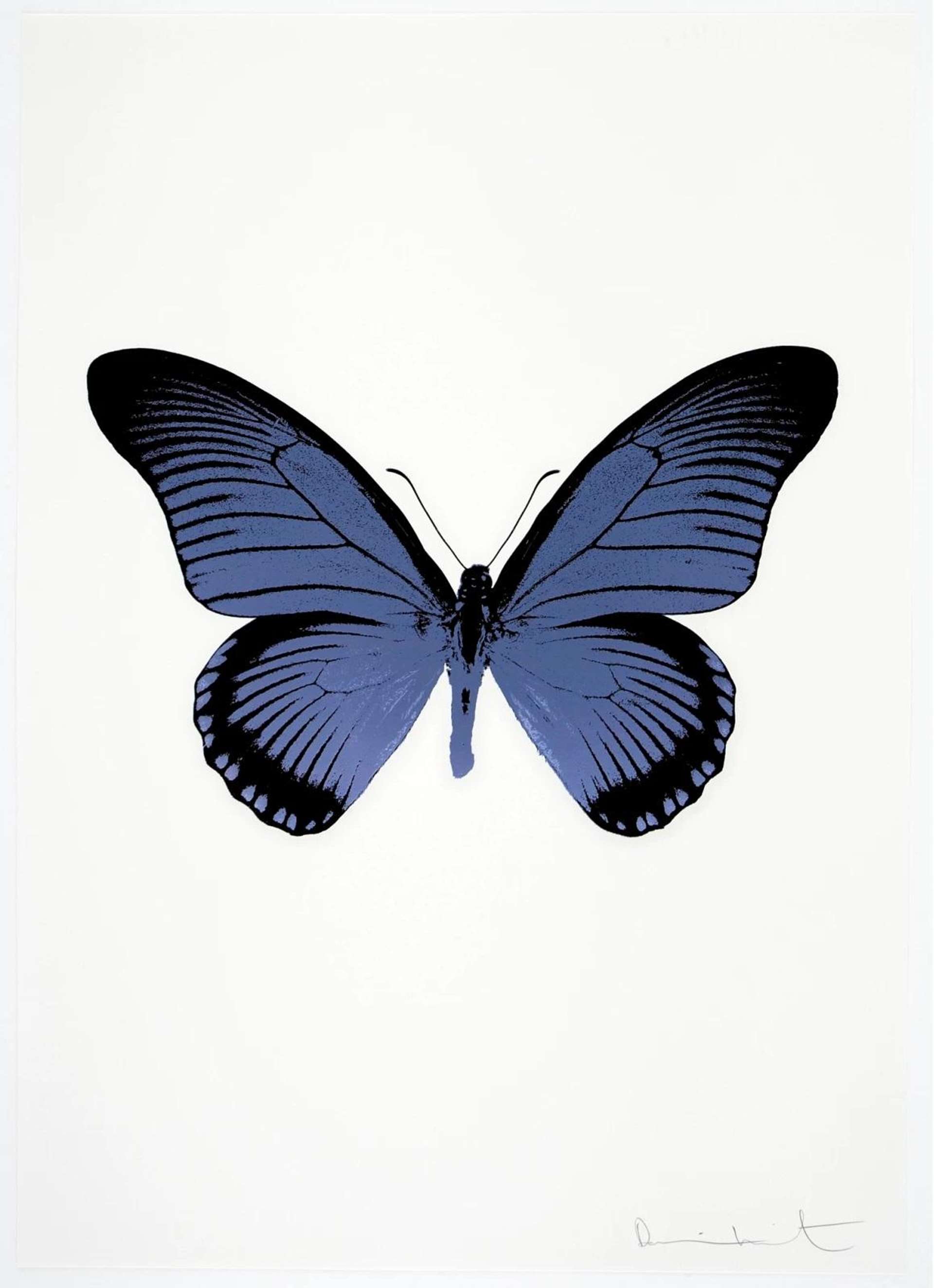 The Souls IV (cornflower blue, raven black) - Signed Print by Damien Hirst 2010 - MyArtBroker