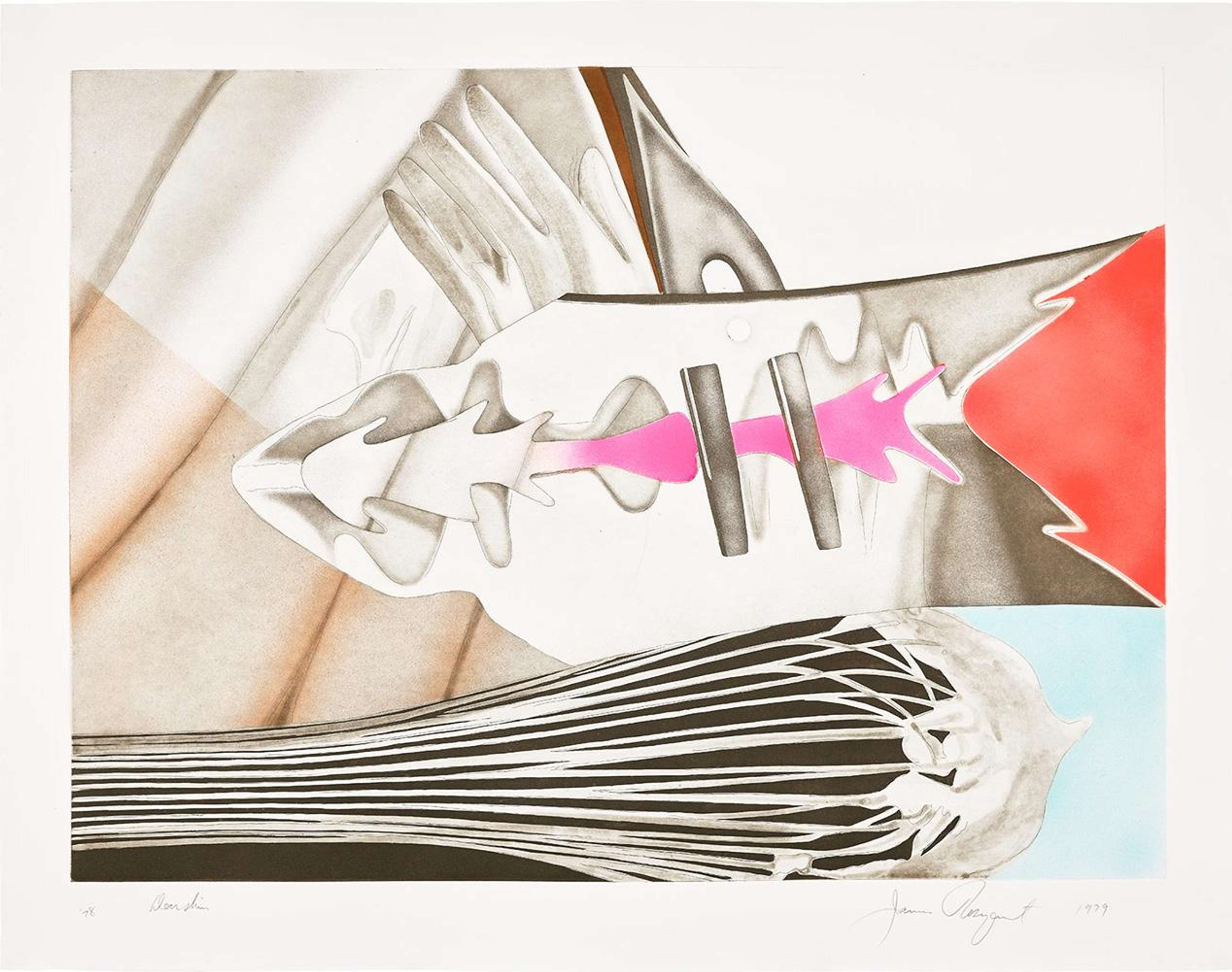 Doorskin - Signed Print by James Rosenquist 1979 - MyArtBroker