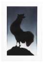 Ed Ruscha: Rooster - Signed Print