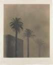 Dark Mist - Signed Print